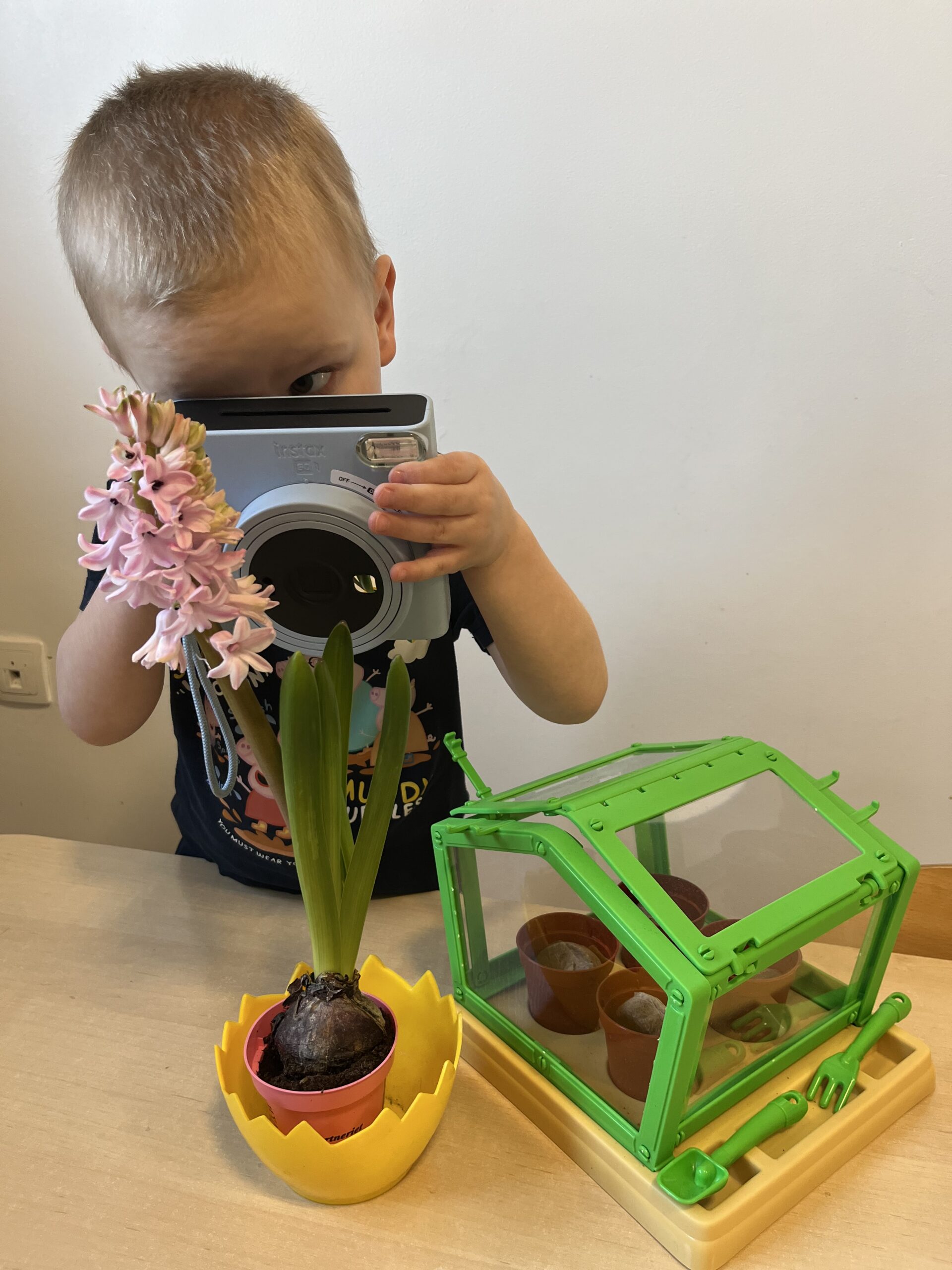 Publiczne Przedszkole „A Dlaczego” w Krakowie