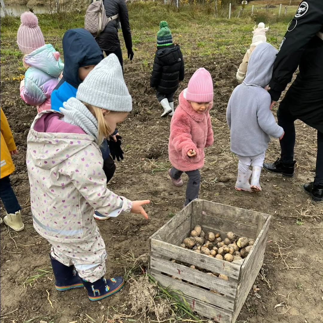 Publiczne Przedszkole „A Dlaczego” w Krakowie